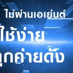 ufavvip789